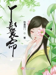 丫鬟命丫鬟命